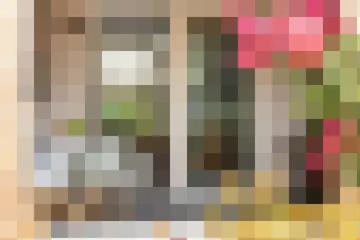 Pastpaedje 20 Meijel thumbnail 38