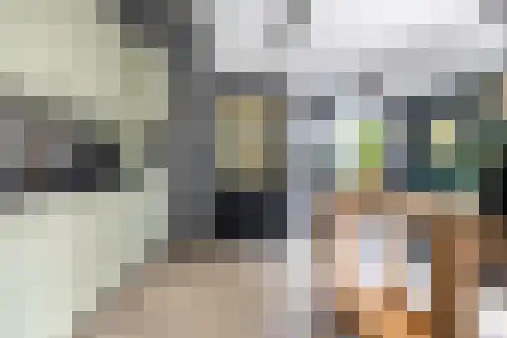 Pastpaedje 20 Meijel thumbnail 4