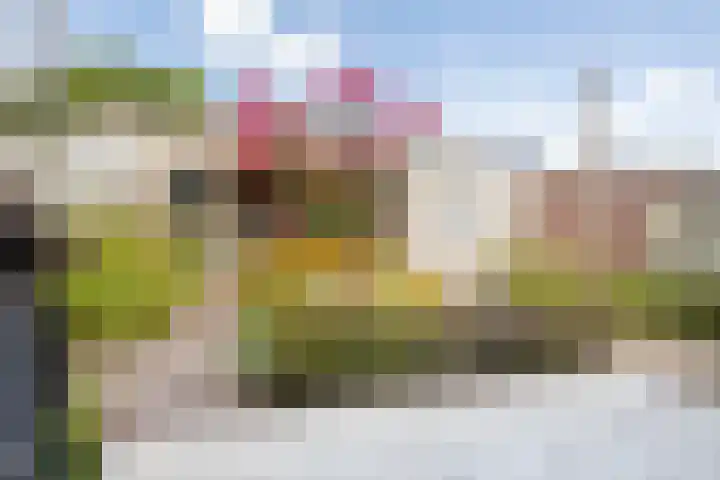Pastpaedje 20 Meijel thumbnail 42