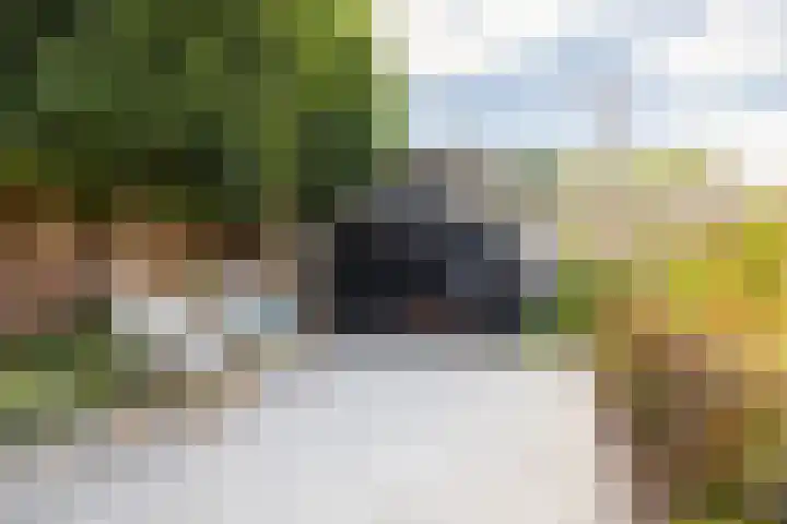 Pastpaedje 20 Meijel thumbnail 43