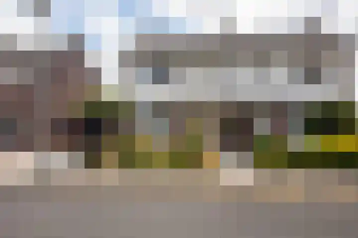 Pastpaedje 20 Meijel thumbnail 49