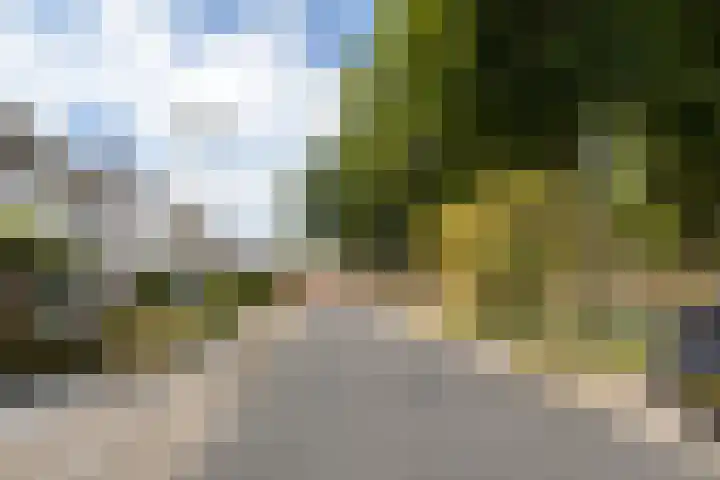 Pastpaedje 20 Meijel thumbnail 51
