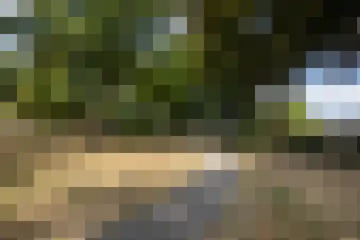 Pastpaedje 20 Meijel thumbnail 52