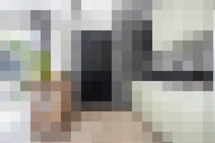 Pastpaedje 20 Meijel thumbnail 6