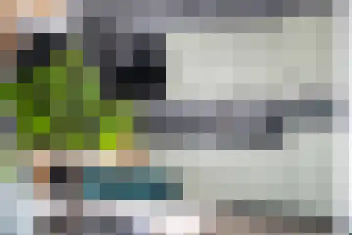 Pastpaedje 20 Meijel thumbnail 7