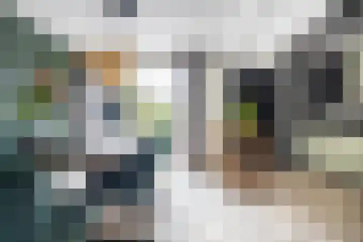Pastpaedje 20 Meijel thumbnail 8