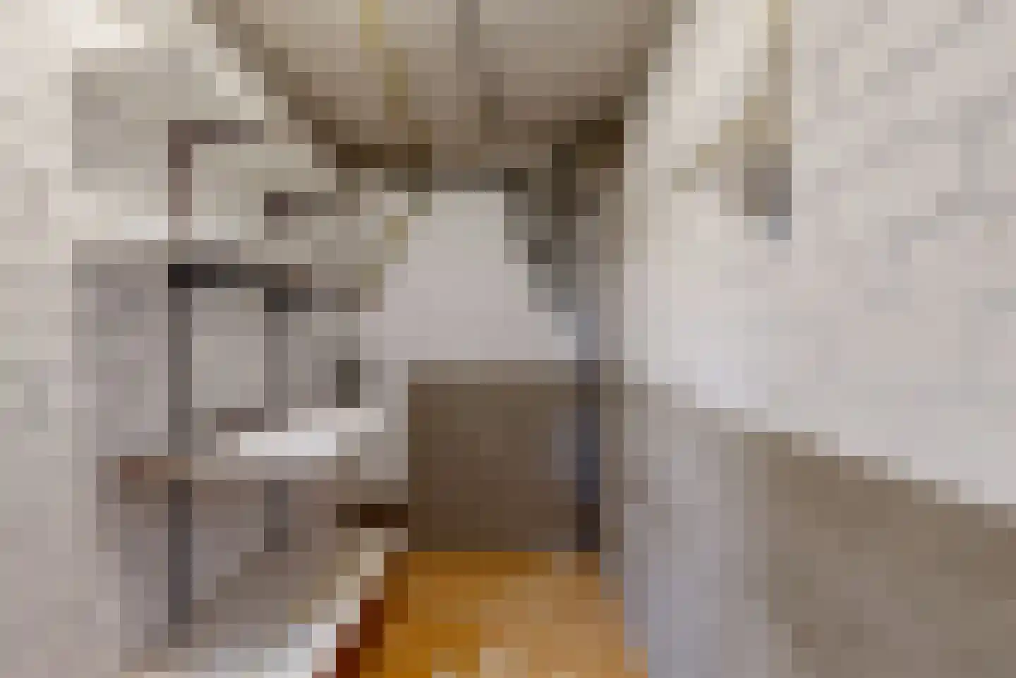 Pasweg 13 Heel thumbnail 30