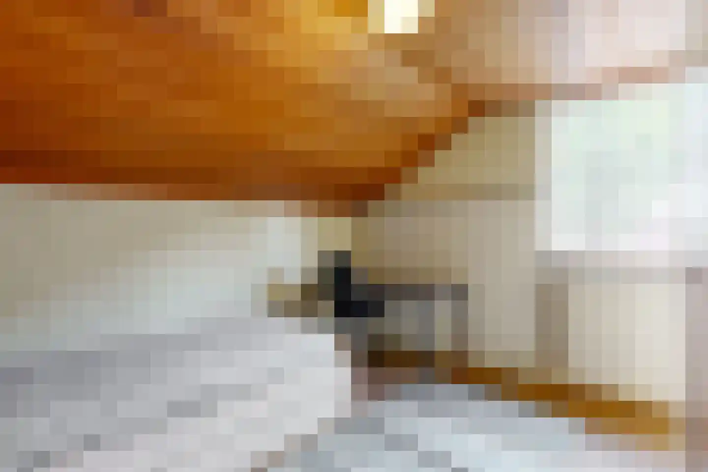 Pasweg 13 Heel thumbnail 39