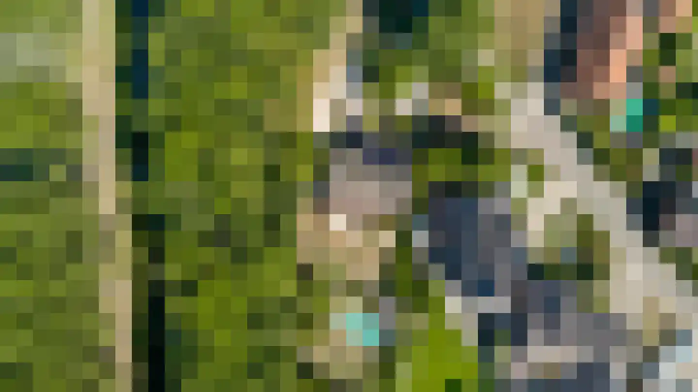 Pasweg 13 Heel thumbnail 4