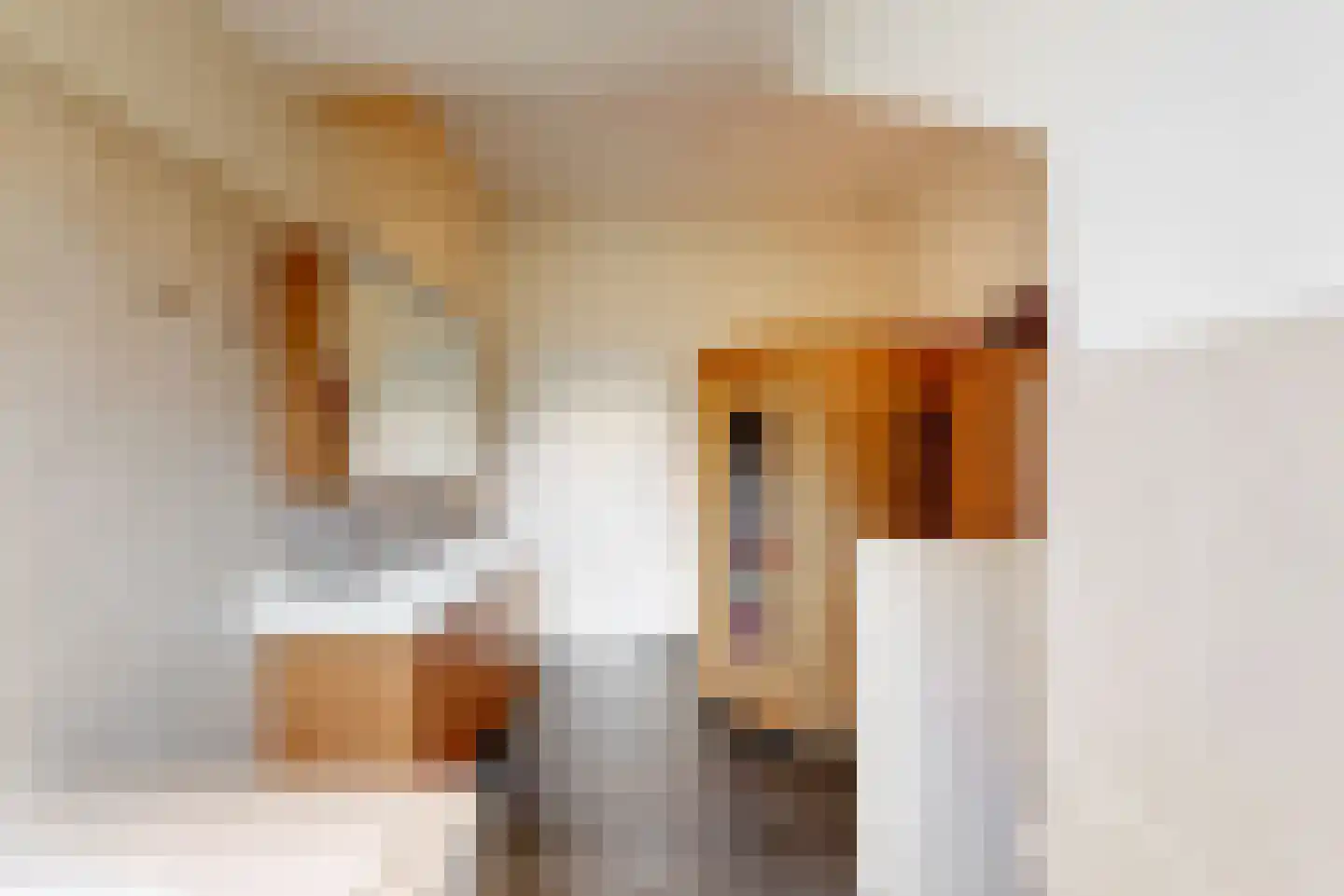 Pasweg 13 Heel thumbnail 46