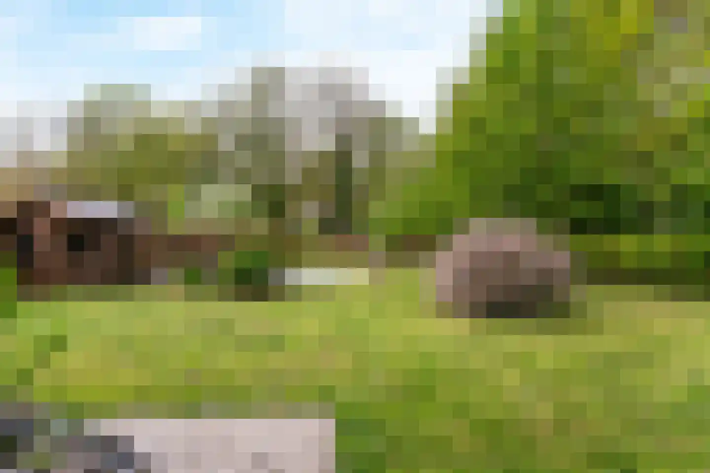 Pasweg 13 Heel thumbnail 56