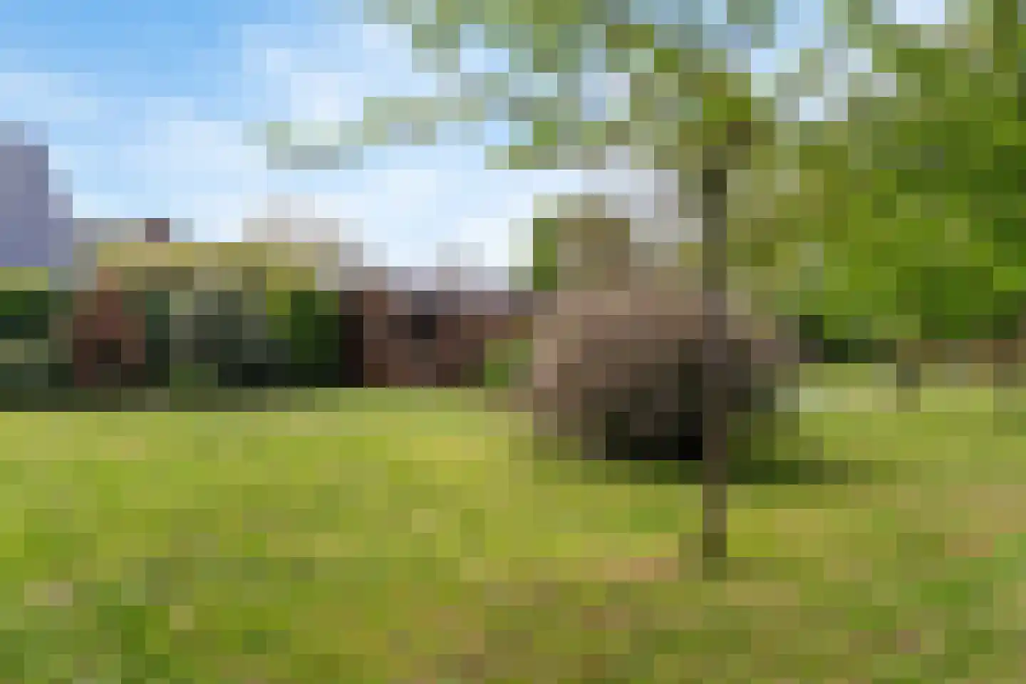 Pasweg 13 Heel thumbnail 57