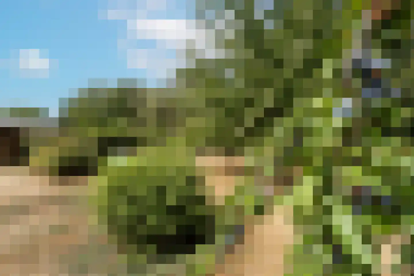 Pasweg 13 Heel thumbnail 58
