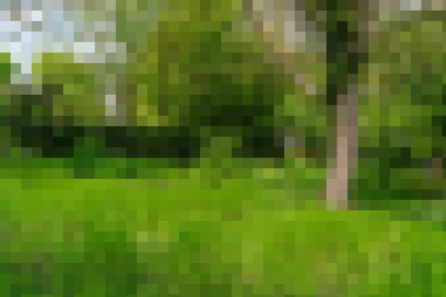 Pasweg 13 Heel thumbnail 61