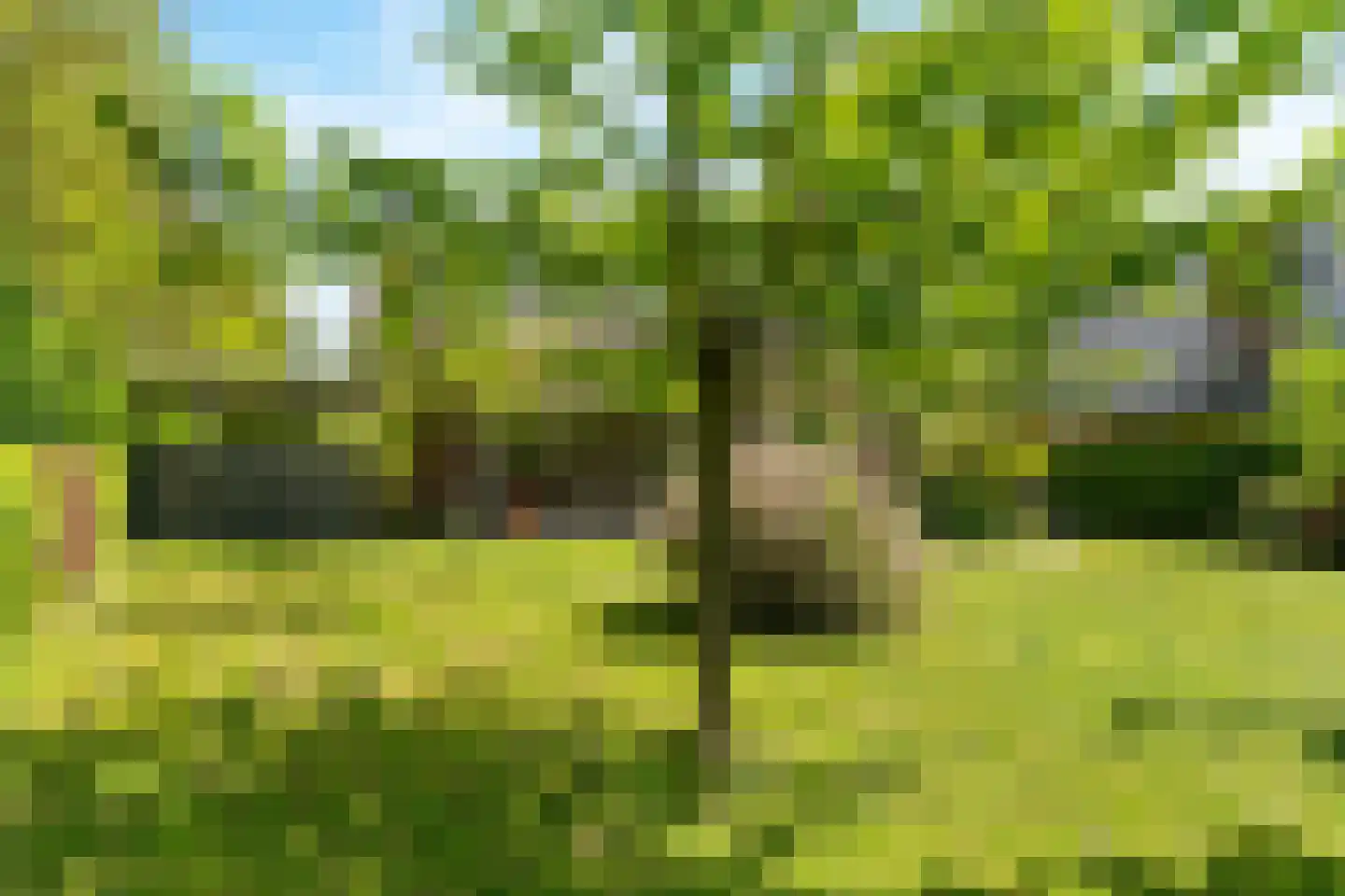 Pasweg 13 Heel thumbnail 62
