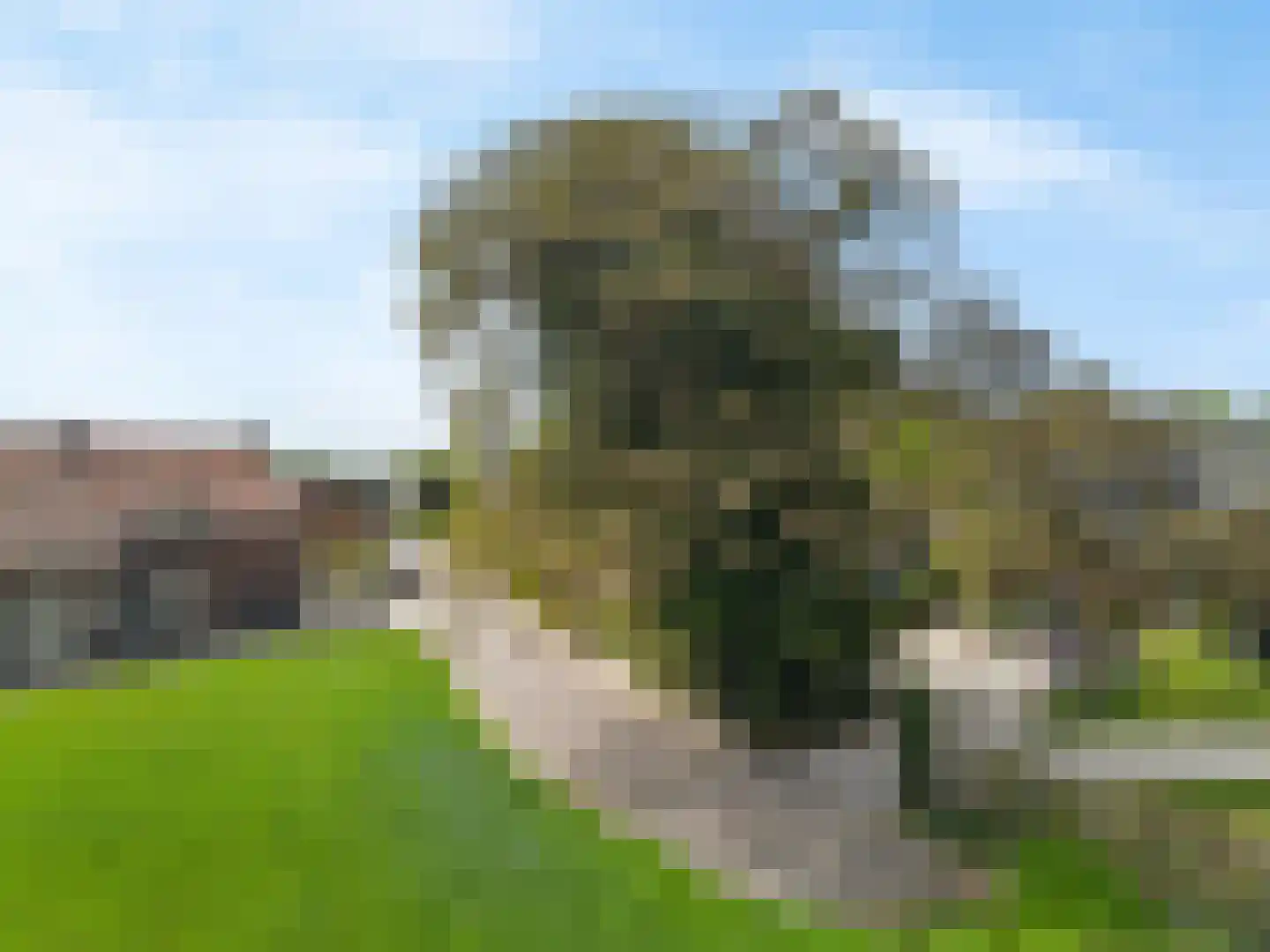 Pasweg 13 Heel thumbnail 71