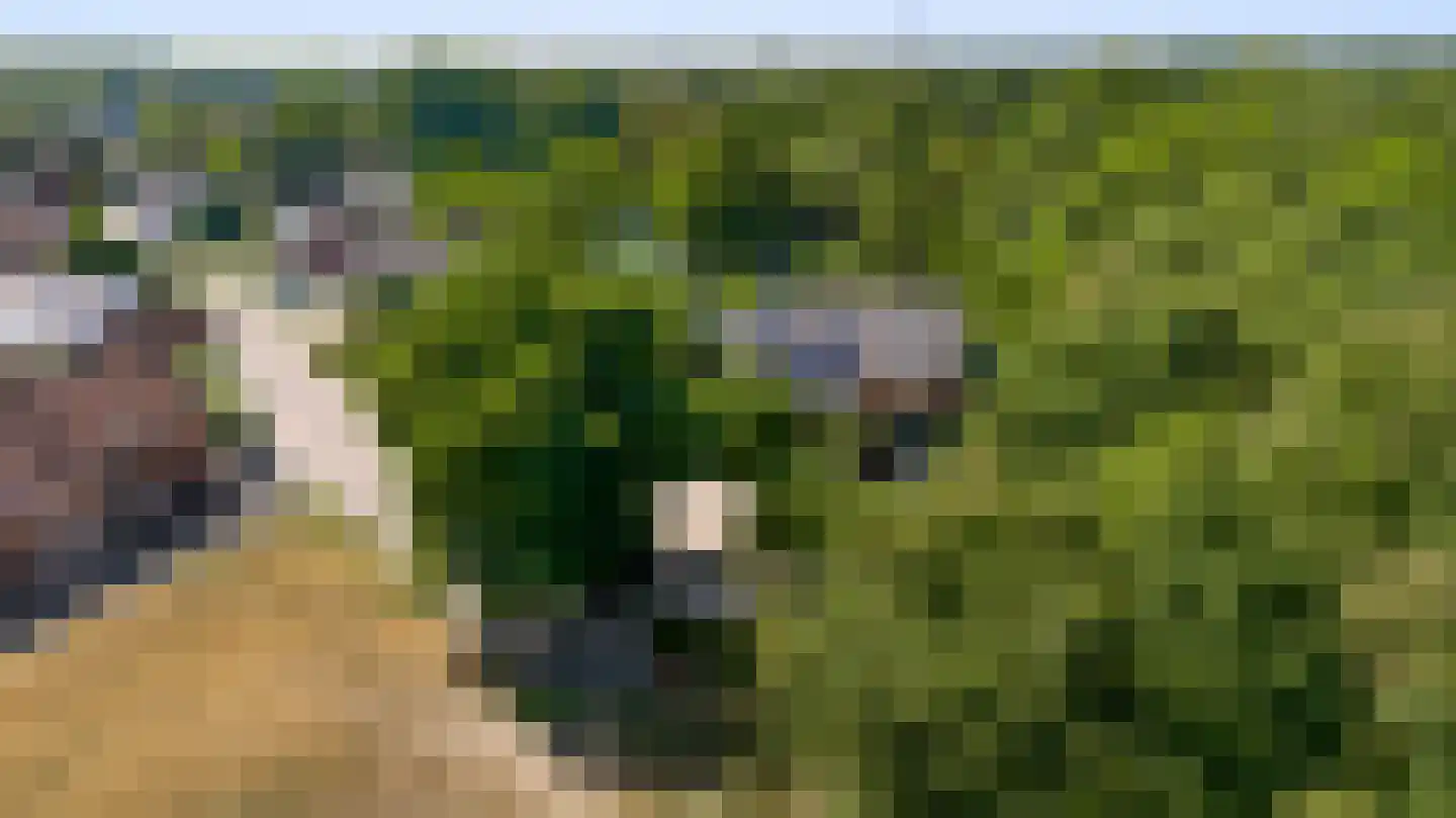 Pasweg 13 Heel thumbnail 72