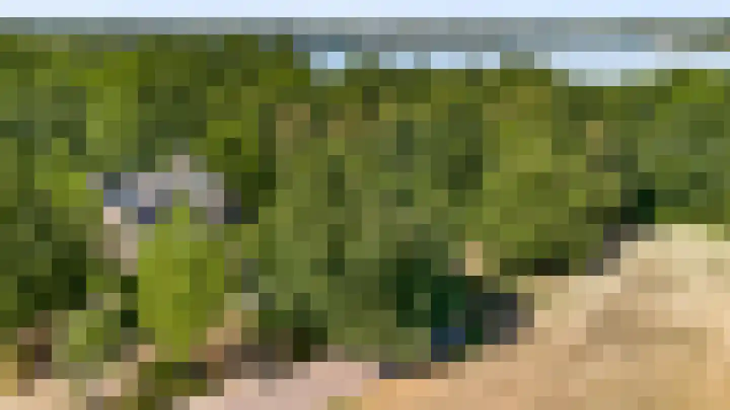 Pasweg 13 Heel thumbnail 73