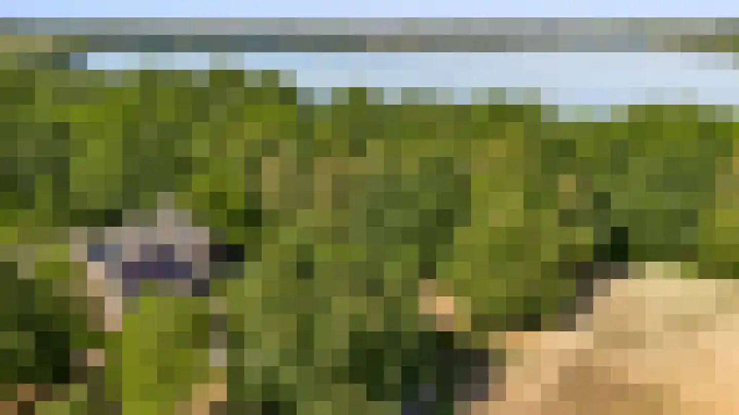Pasweg 13 Heel thumbnail 74