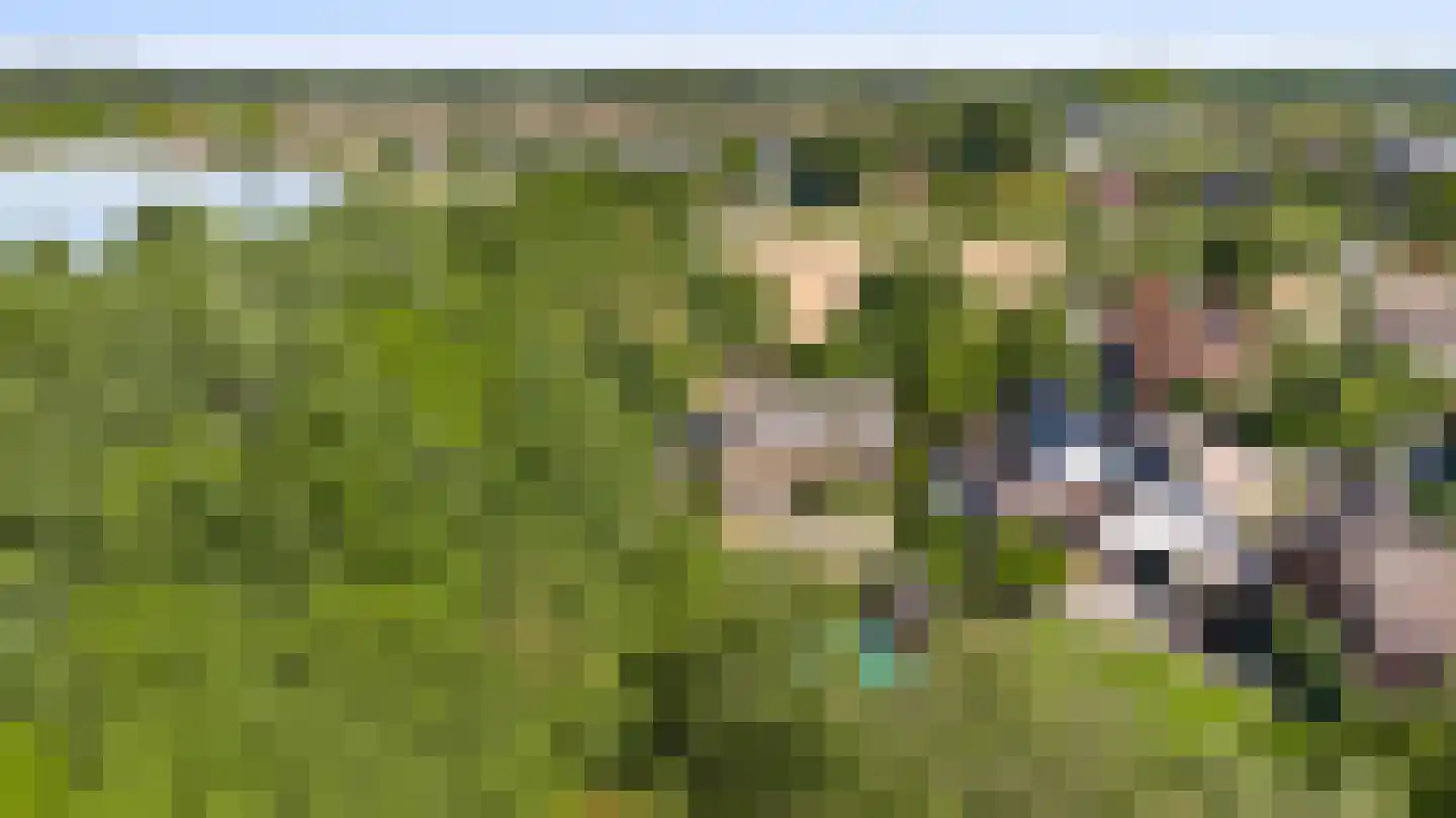 Pasweg 13 Heel thumbnail 76