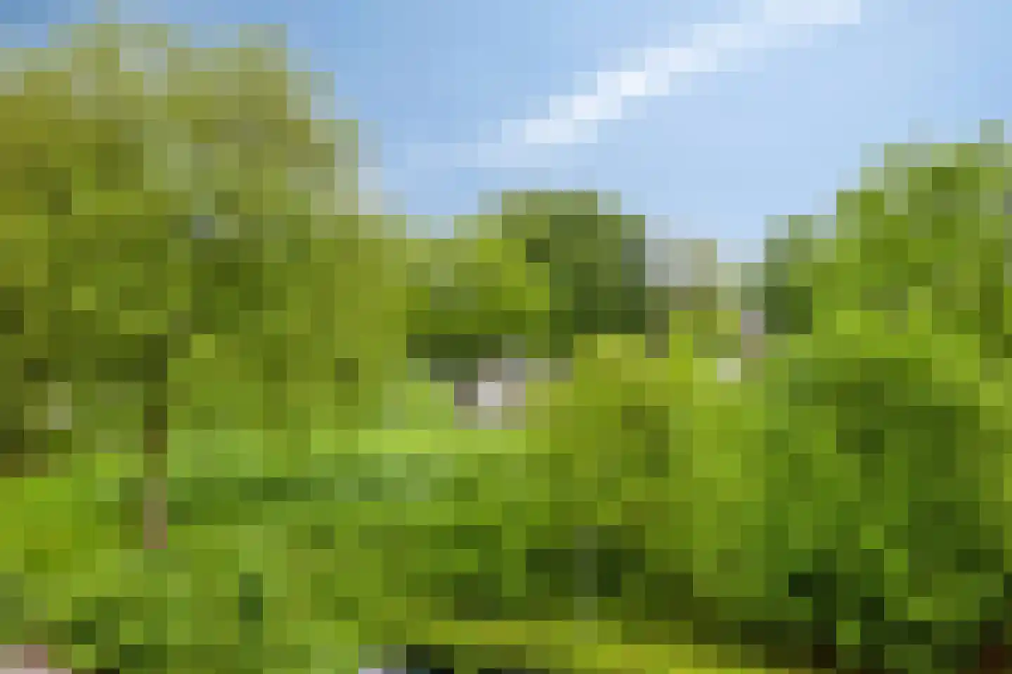 Pasweg 22 E Landgraaf thumbnail 13
