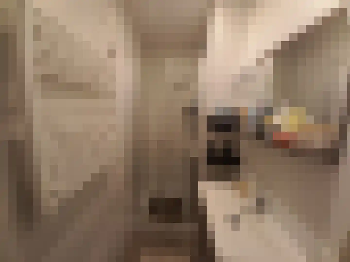 Pasweg 4 E Landgraaf thumbnail 7