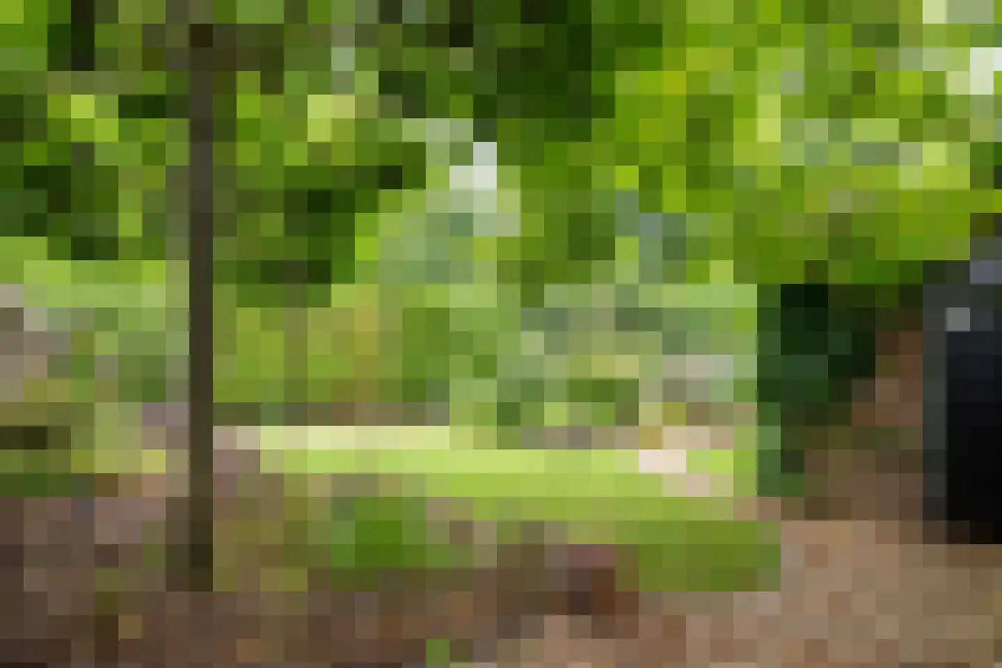 Pasweg 59 Landgraaf thumbnail 26