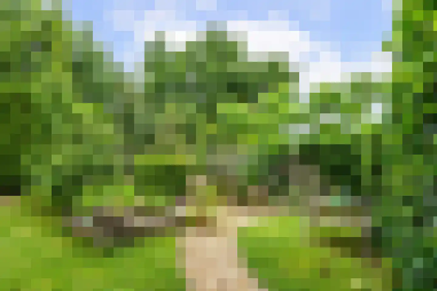 Pasweg 59 Landgraaf thumbnail 27