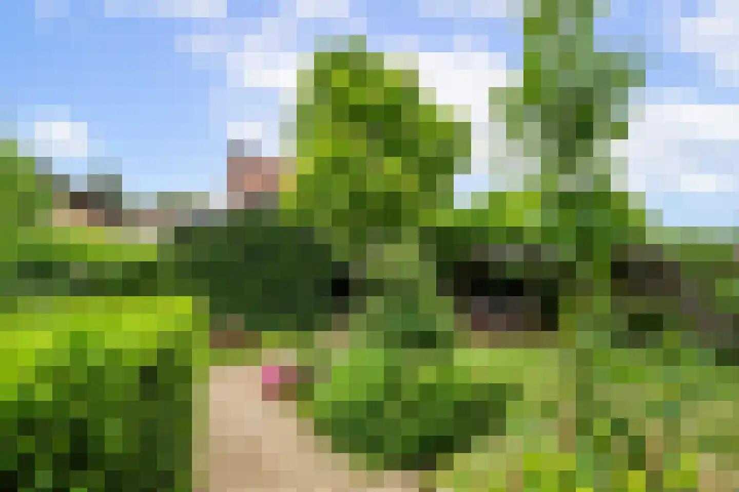 Pasweg 59 Landgraaf thumbnail 28
