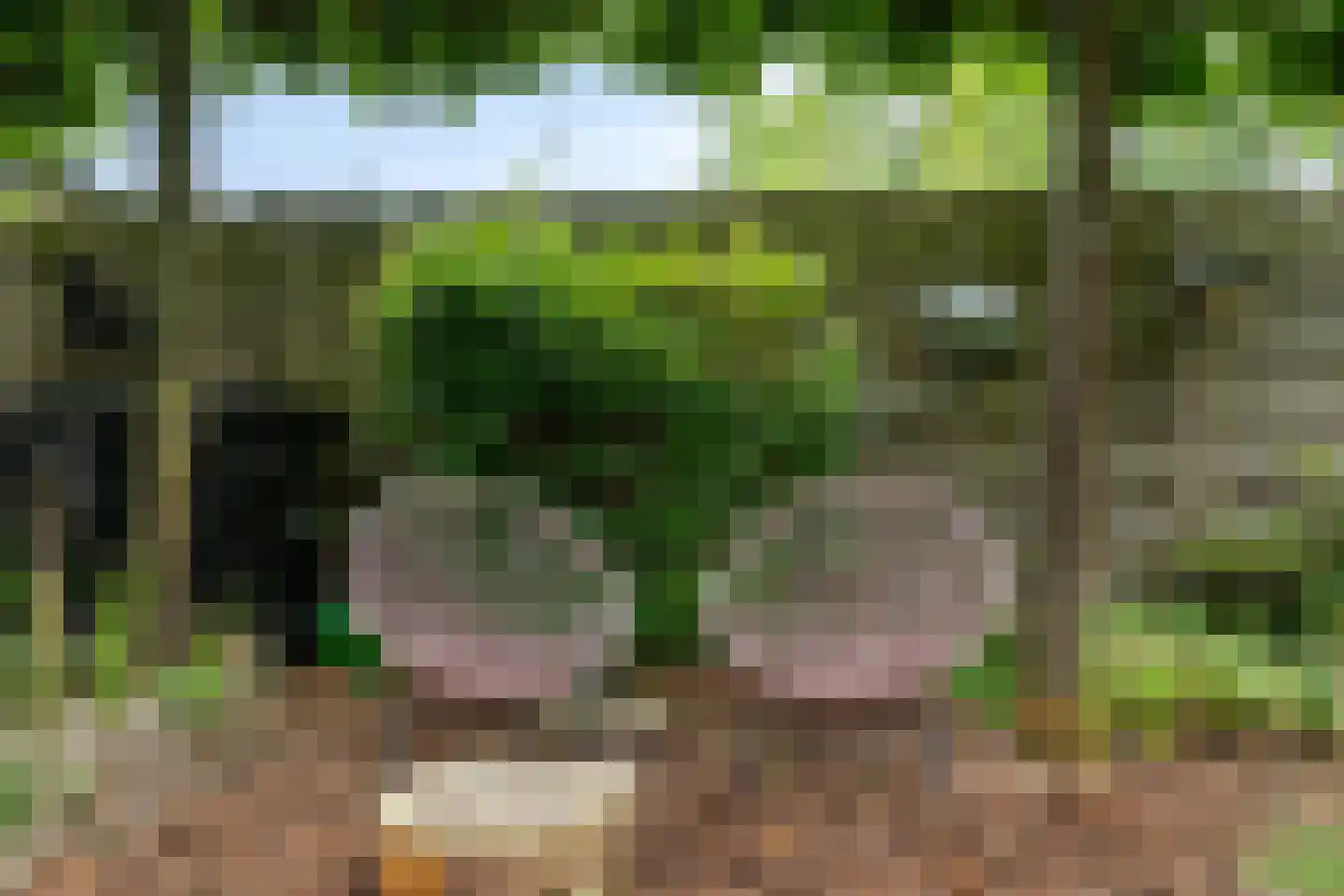 Pasweg 59 Landgraaf thumbnail 30