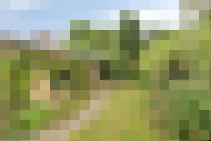 Pasweg 74 Landgraaf thumbnail 23