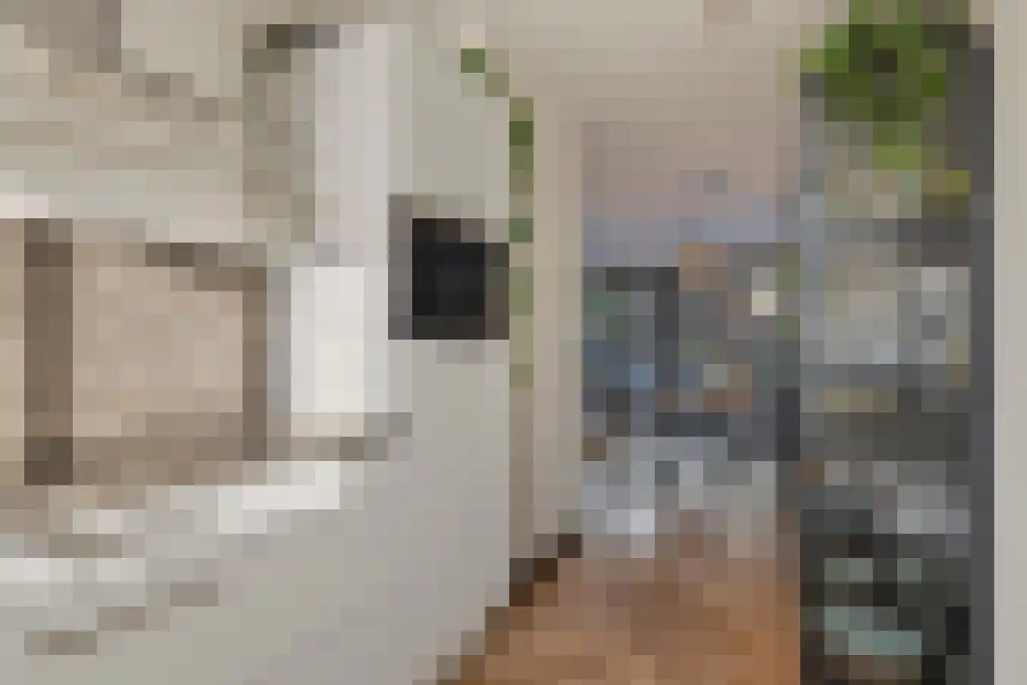 Patalenastraat 15 Naaldwijk thumbnail 17