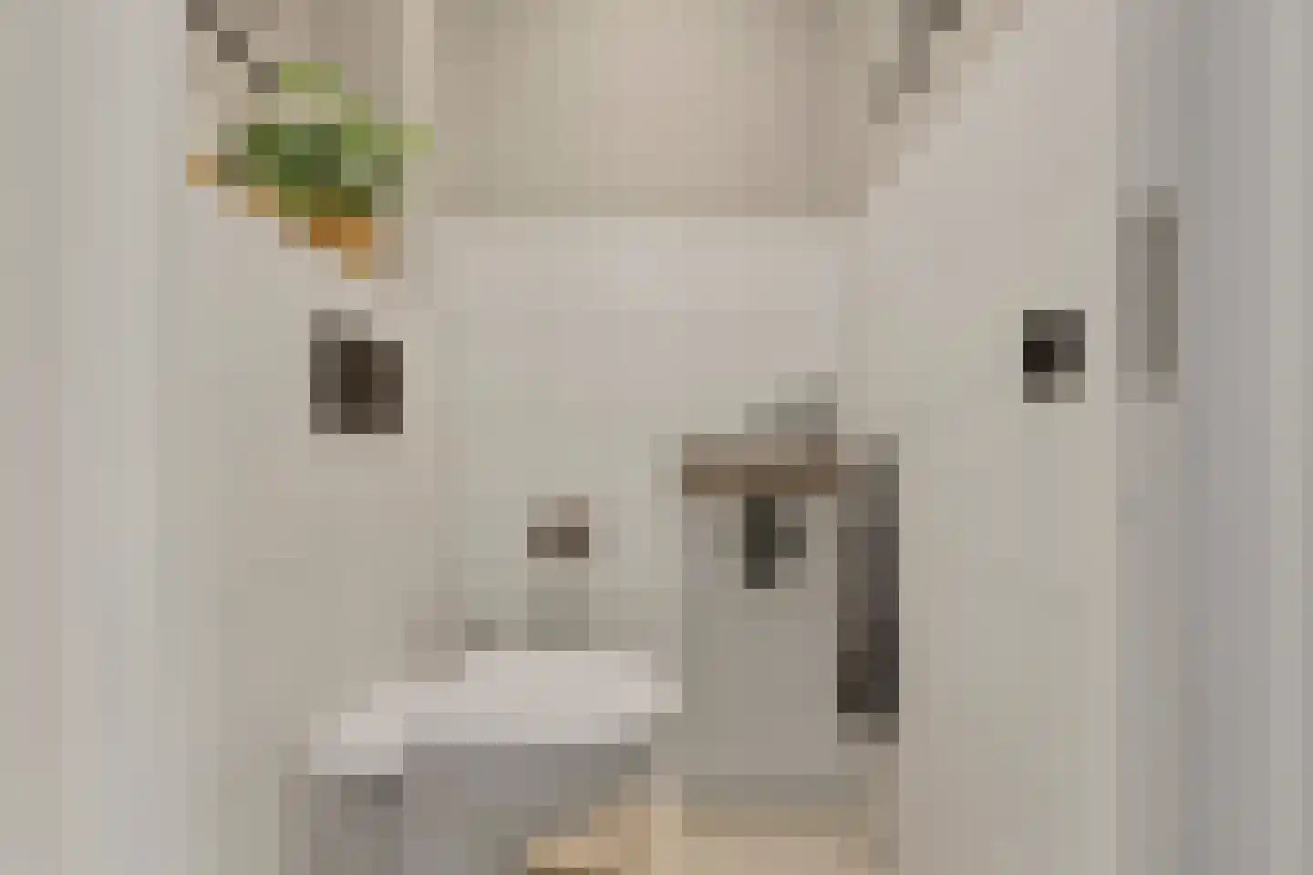 Patalenastraat 15 Naaldwijk thumbnail 18