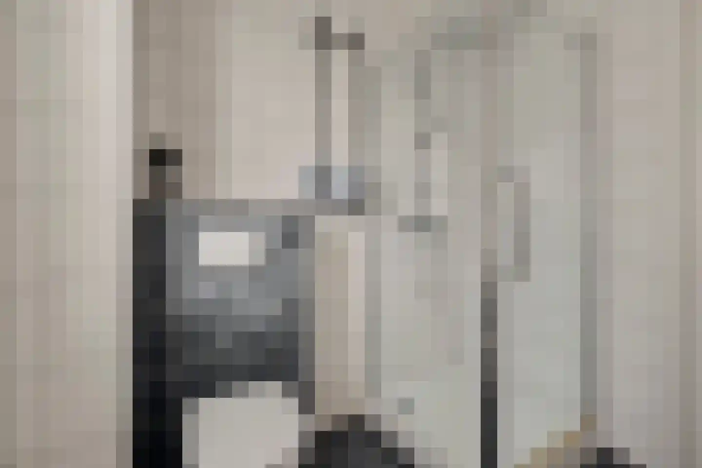 Patalenastraat 15 Naaldwijk thumbnail 25