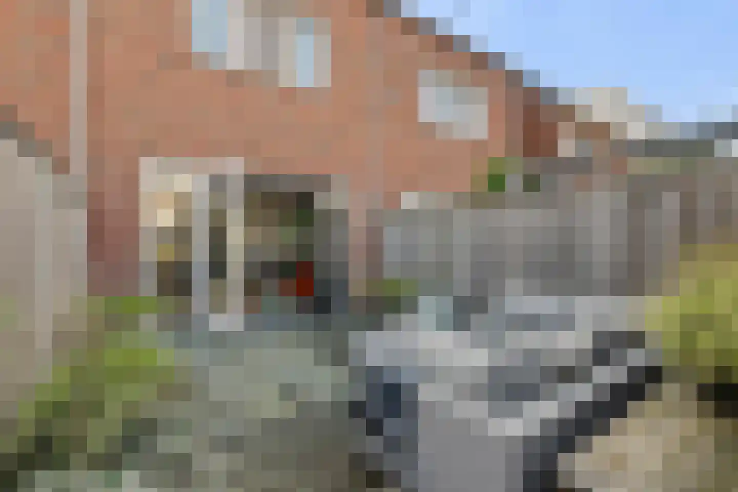Patalenastraat 15 Naaldwijk thumbnail 31