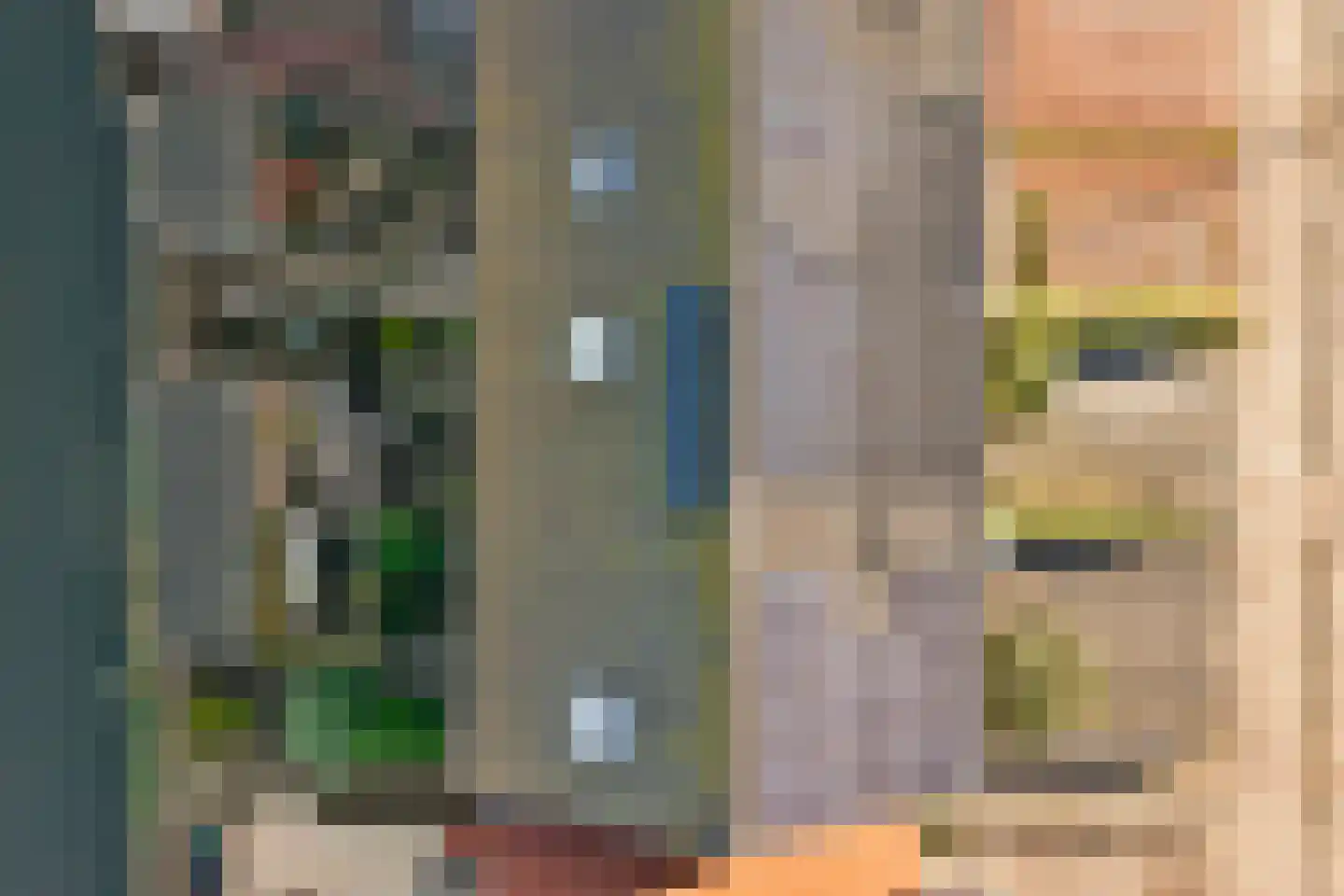 Patalenastraat 15 Naaldwijk thumbnail 32