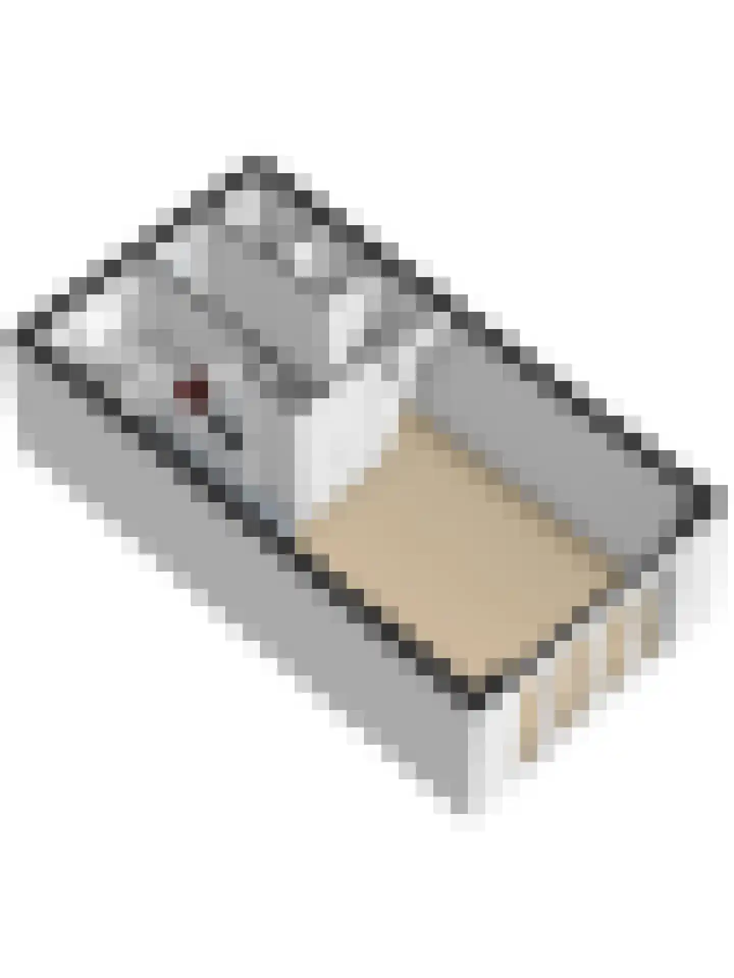 Patalenastraat 15 Naaldwijk thumbnail 42