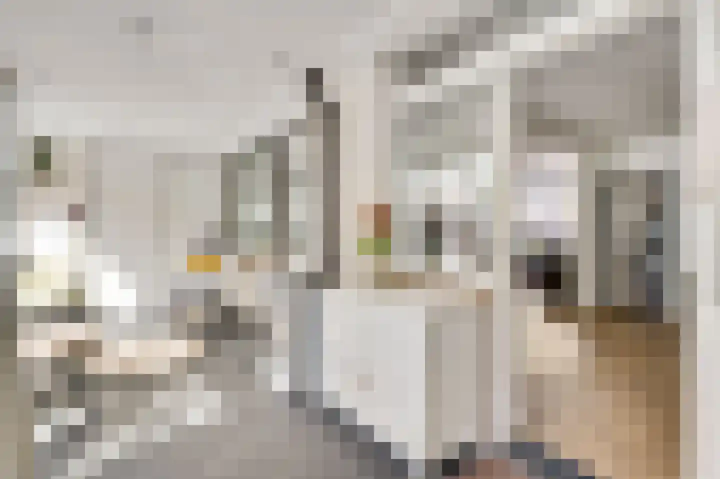 Patchstraat 12 Sittard thumbnail 13
