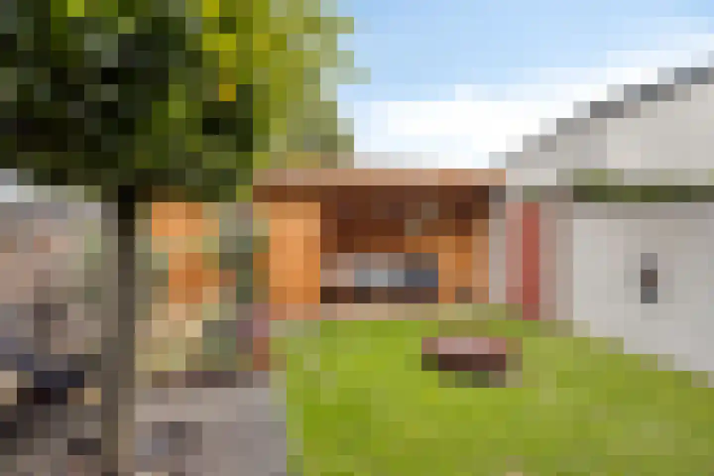 Pater Alexanderstraat 40 Maastricht thumbnail 5