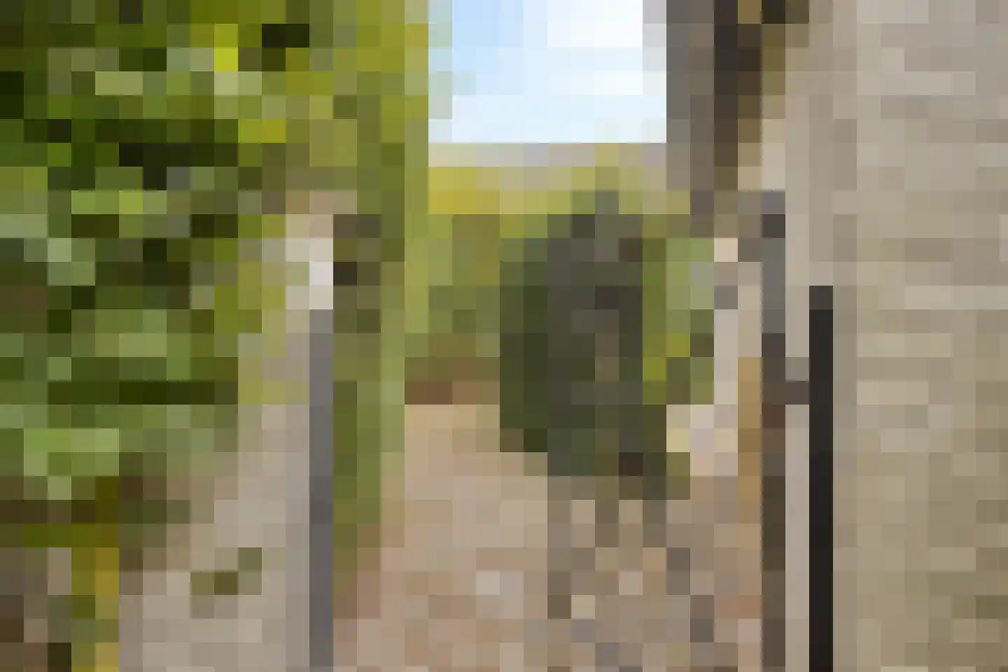 Pater Alexanderstraat 40 Maastricht thumbnail 7
