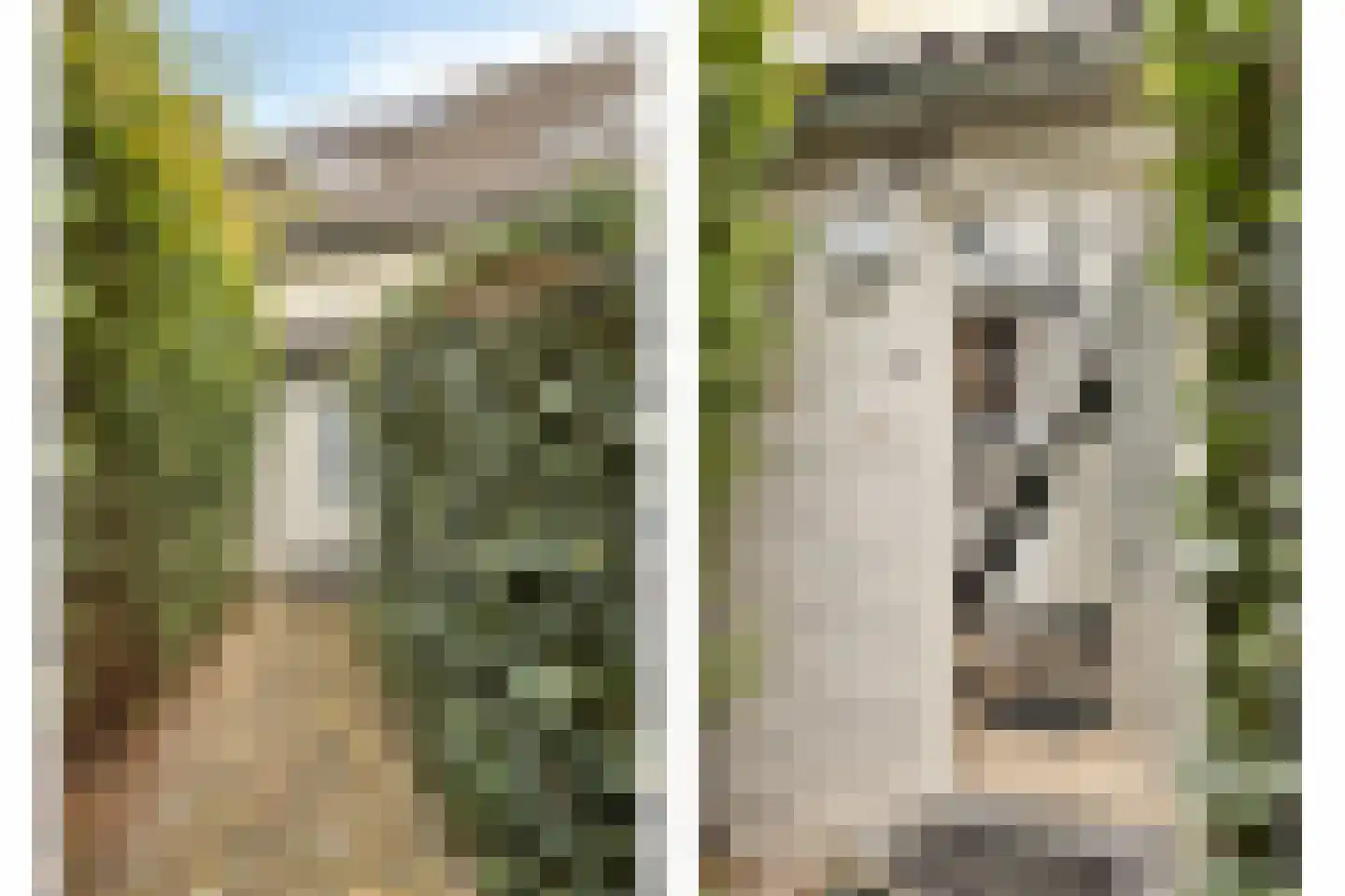 Pater Alexanderstraat 40 Maastricht thumbnail 8