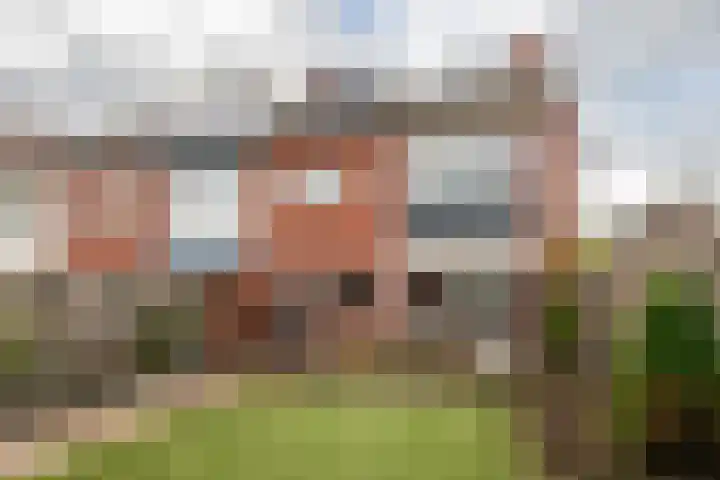 Pater Beckerstraat 19 Oudenbosch thumbnail 25
