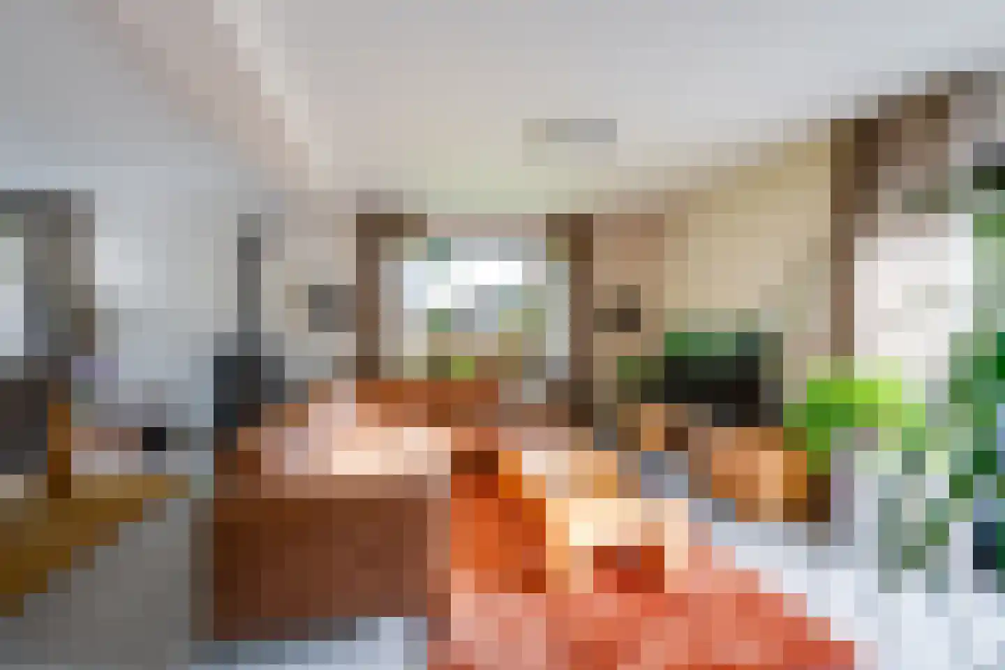 Pater Beckerstraat 2 Oudenbosch thumbnail 11