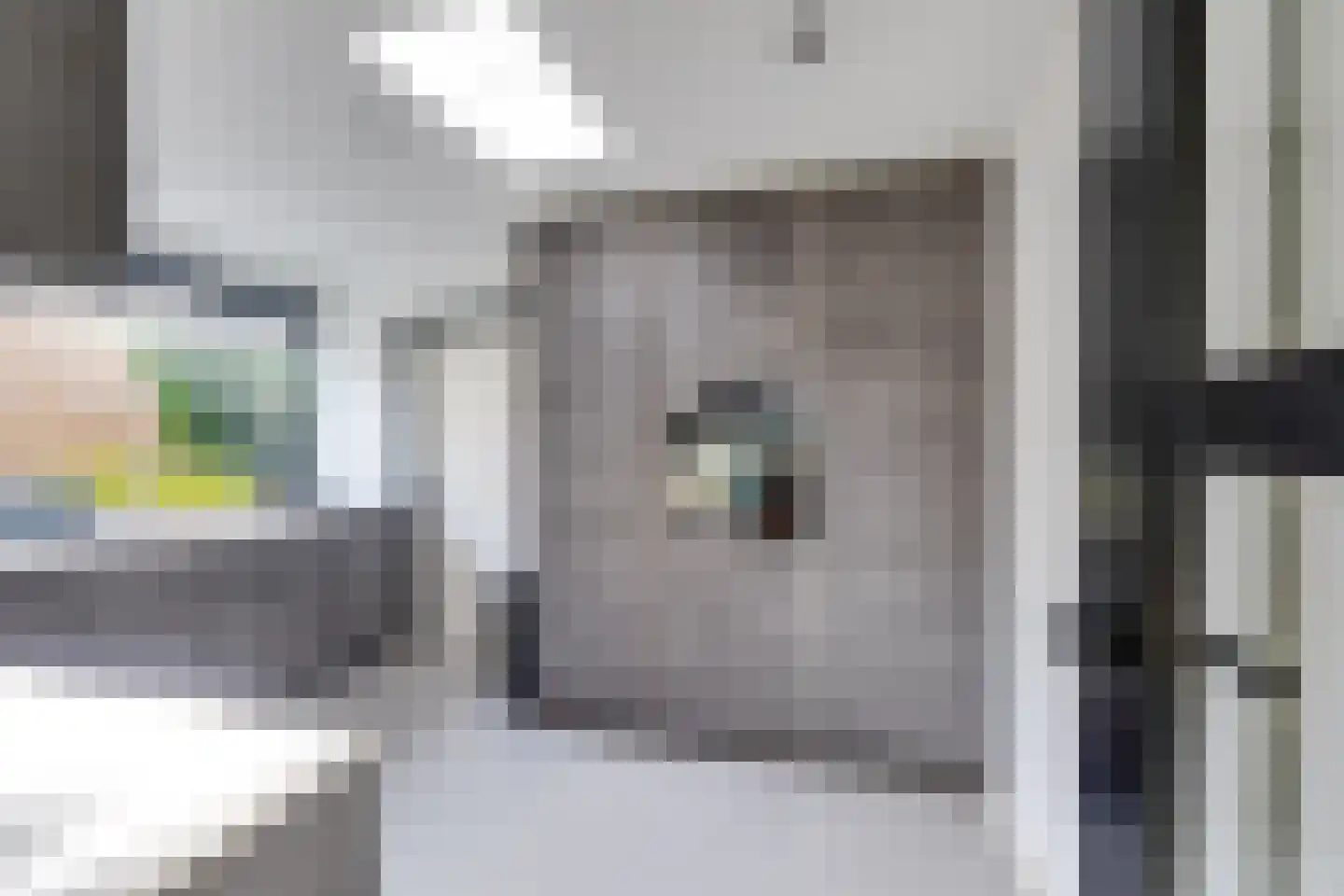 Pater Beckerstraat 2 Oudenbosch thumbnail 14