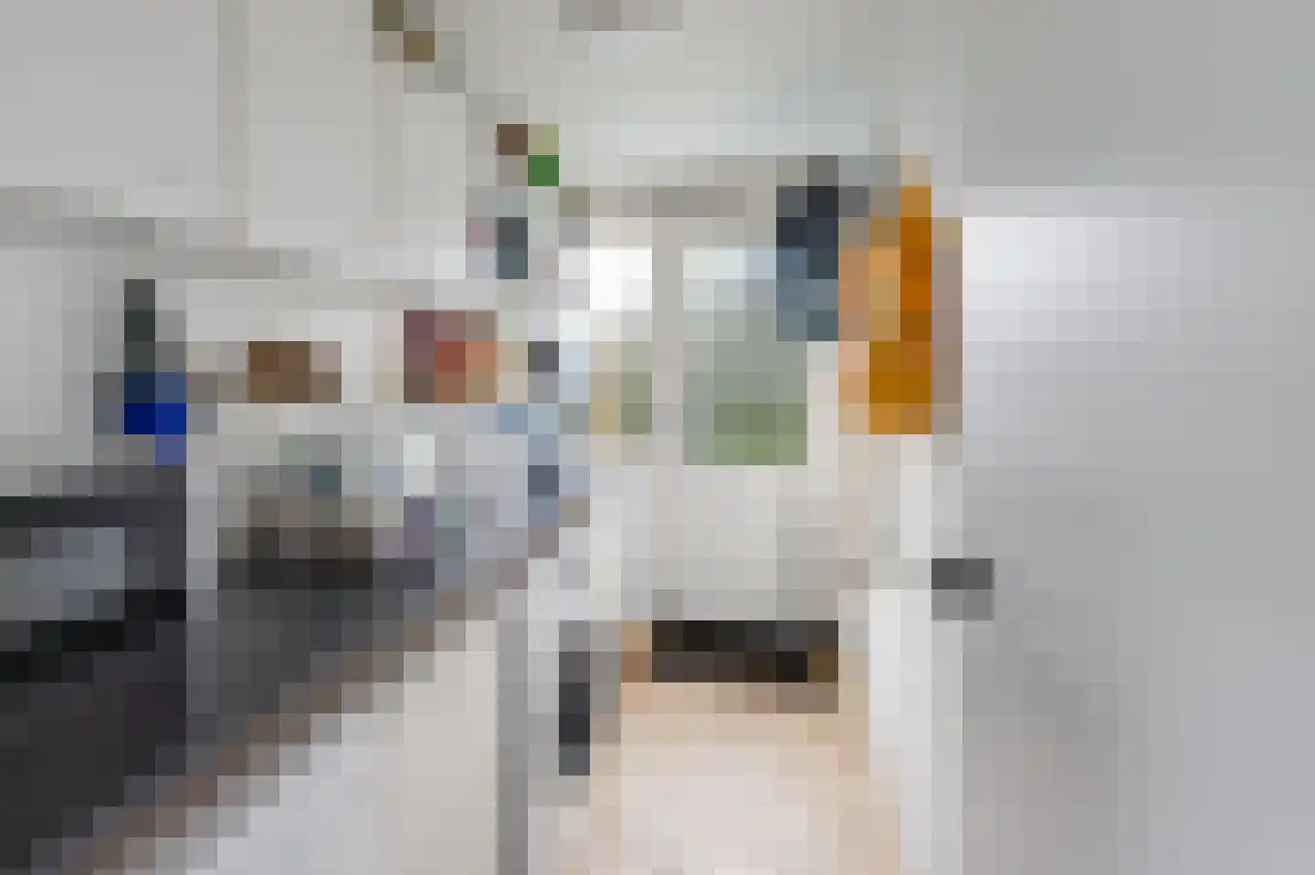 Pater Beckerstraat 2 Oudenbosch thumbnail 17