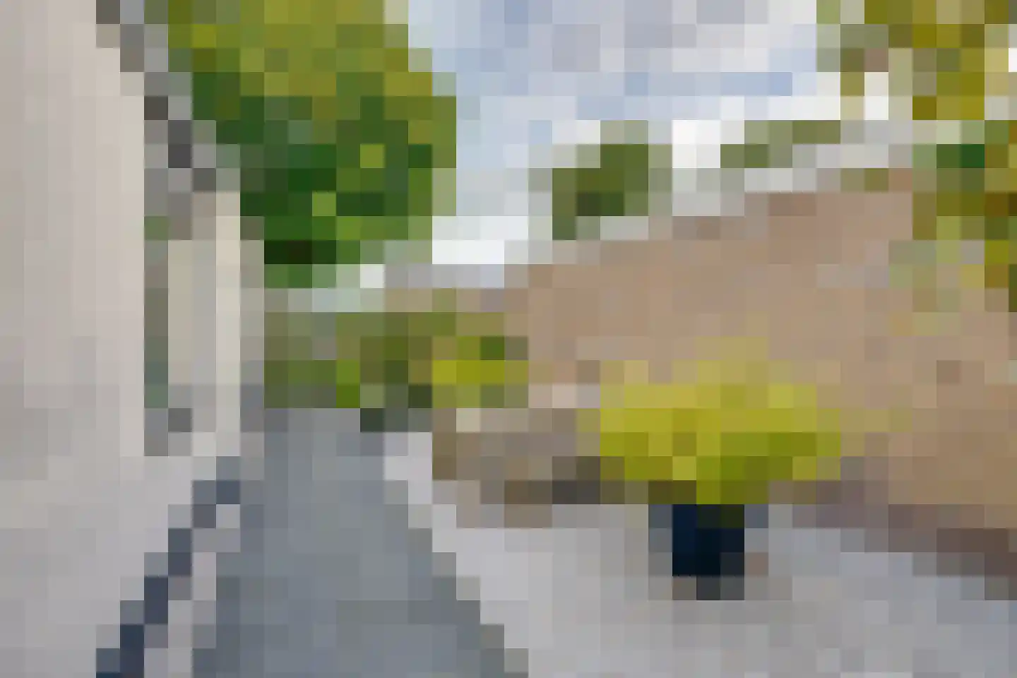Pater Beckerstraat 2 Oudenbosch thumbnail 29