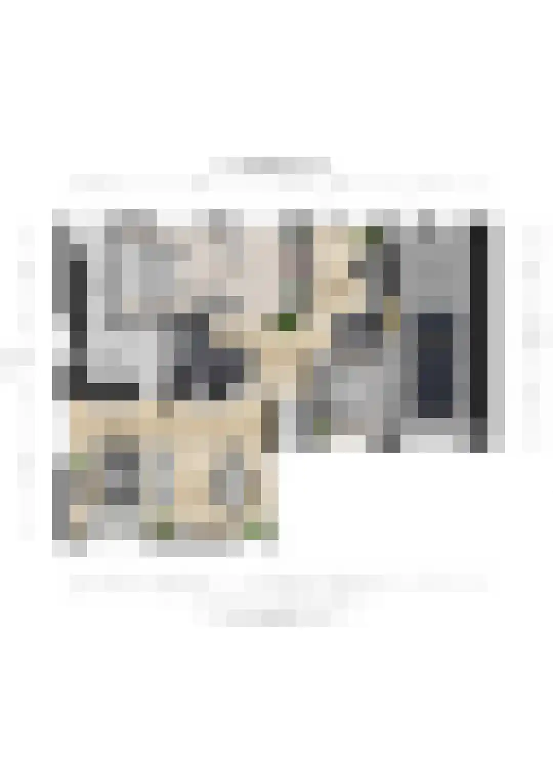 Pater Beckerstraat 2 Oudenbosch thumbnail 32