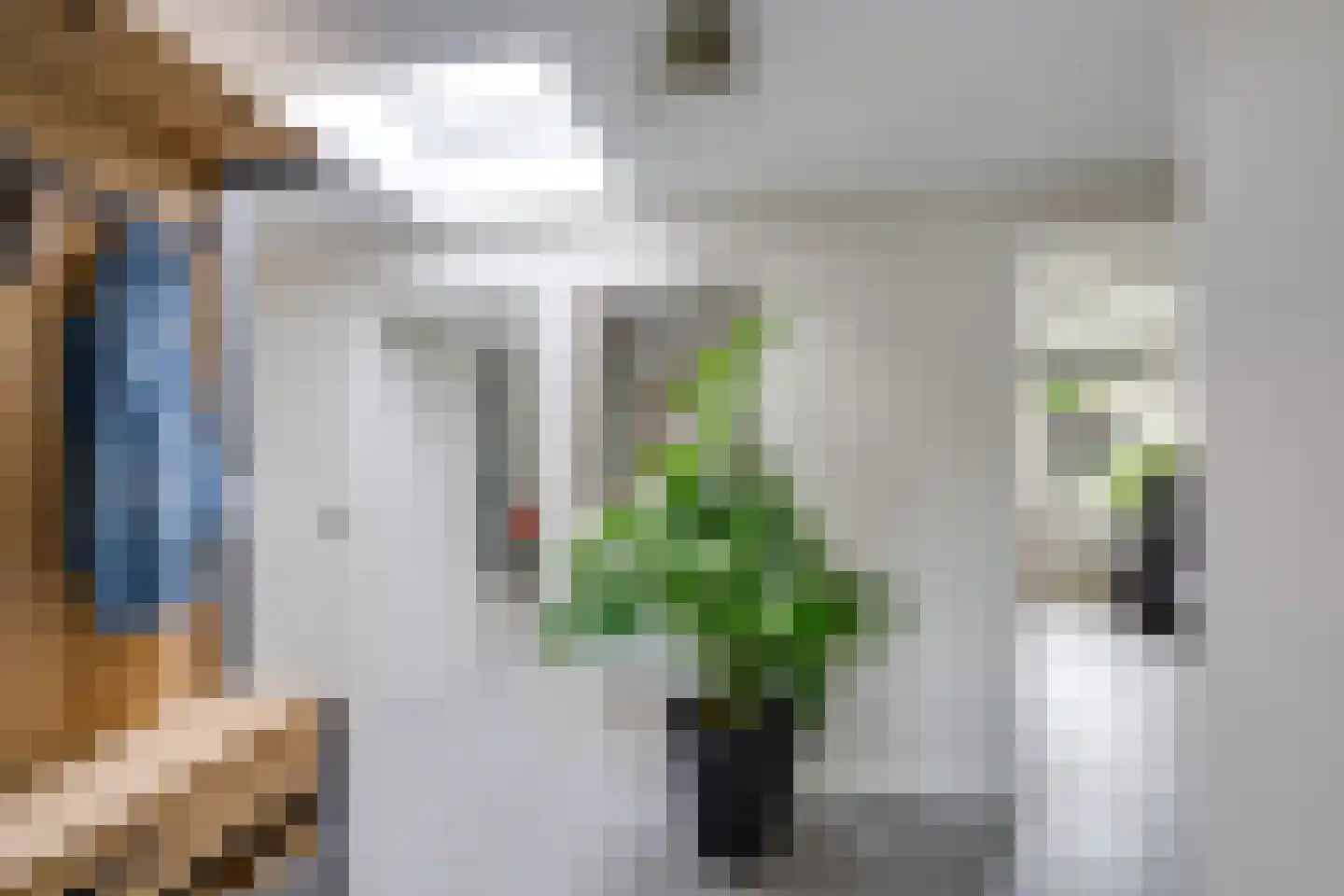 Pater Beckerstraat 2 Oudenbosch thumbnail 6