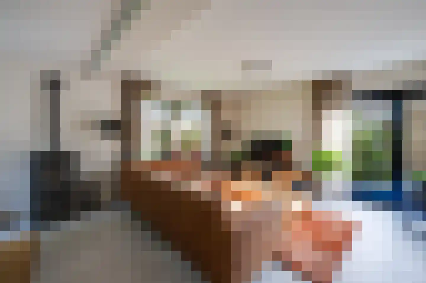 Pater Beckerstraat 2 Oudenbosch thumbnail 9