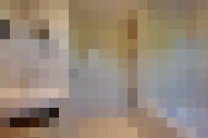 Pater Beekerplein 10 Velden thumbnail 21